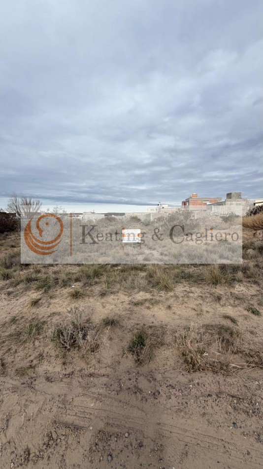 Lote en Los Robles II
